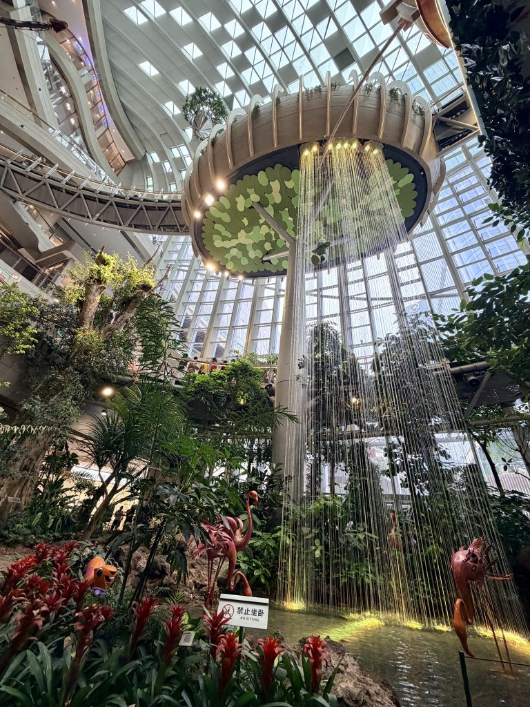 沐光森林中的景色 Muguang Forest inside