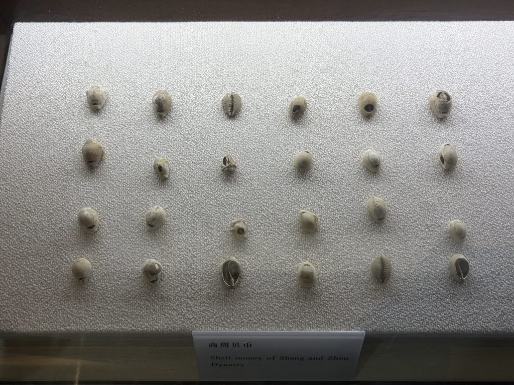 商周時期的貝幣 Shell money of Shang and Zhou Dynasty