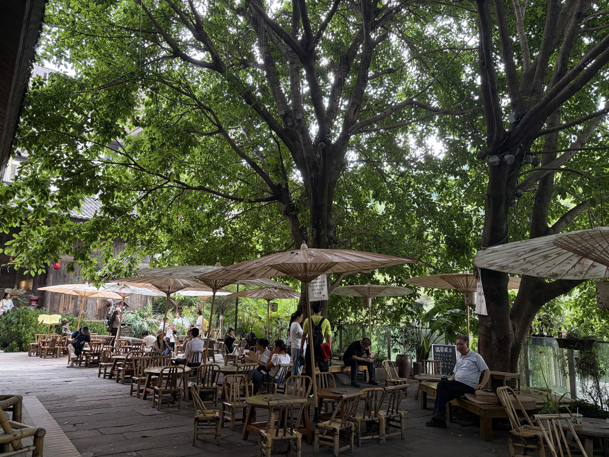 三毛故居旁的咖啡館 Café next to Sanmao’s Former Residence