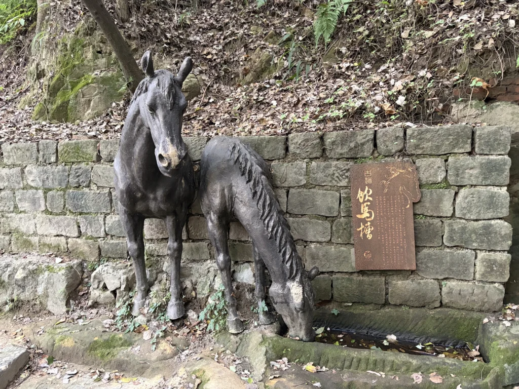 黃葛古道上的飲馬槽 Horse trough along Huangge Ancient Trail