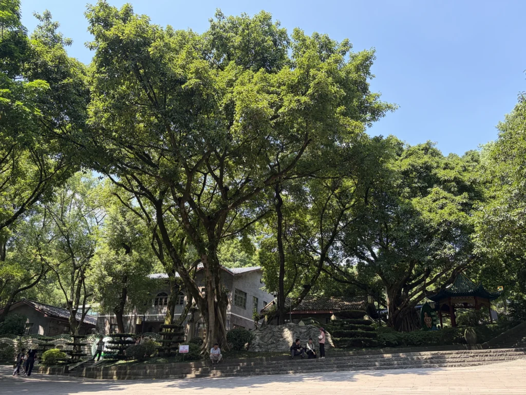 Inside of Eling Park 鵝嶺公園內部