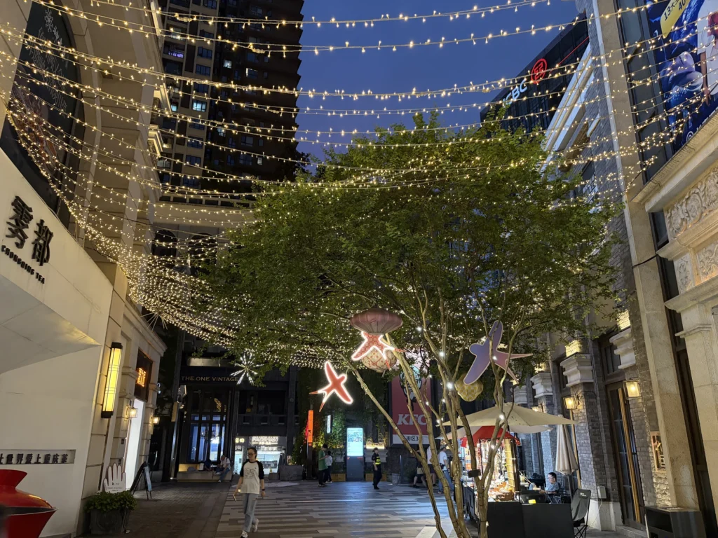 Night View of Danzishi Old Street 彈子石老街夜景