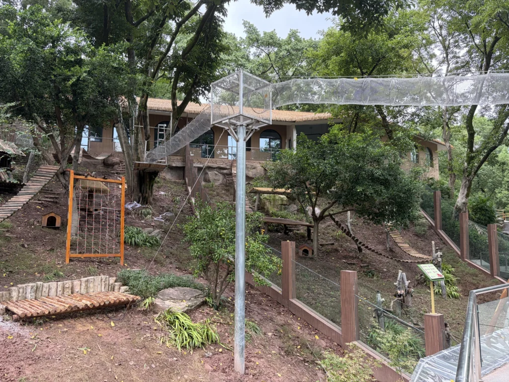 Elevated walkway in the new red panda enclosure | 小熊貓新館舍的空中走廊